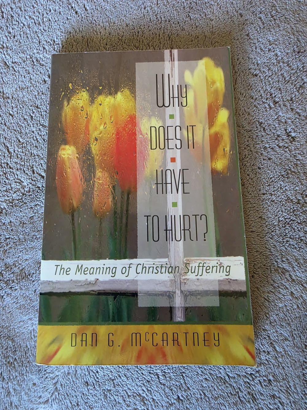 Why Does It Have to Hurt? - Dan G. McCartney